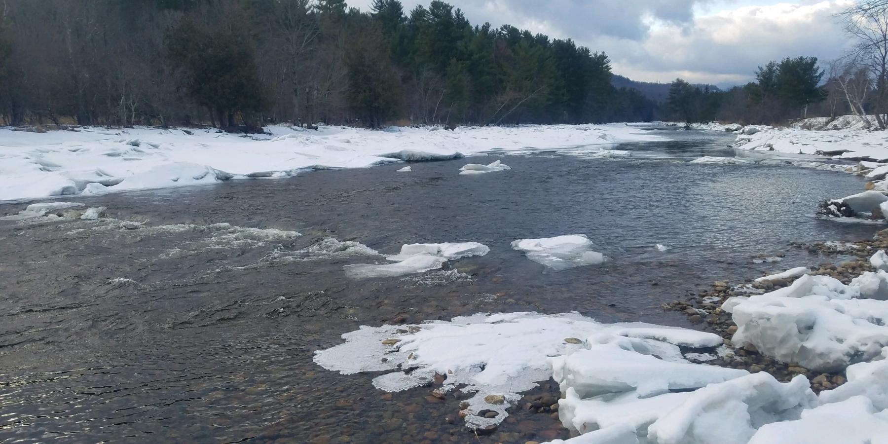 how-do-fish-survive-winter-in-rivers-and-streams-ausable-river