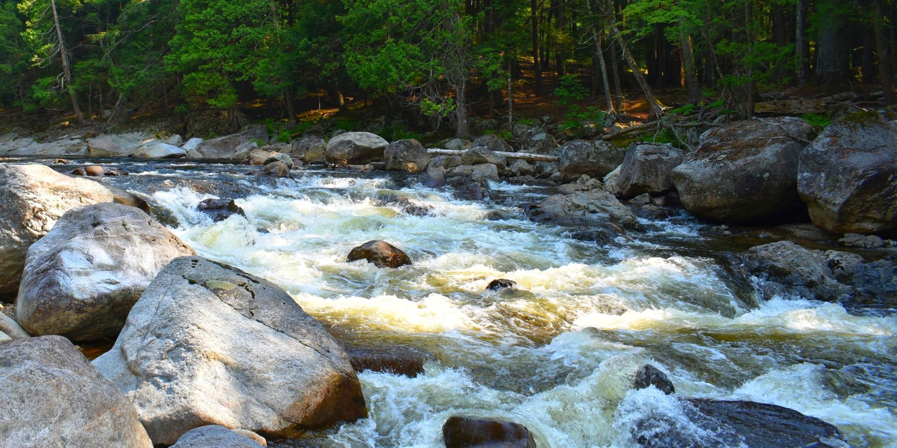 A swift river moving through boulders