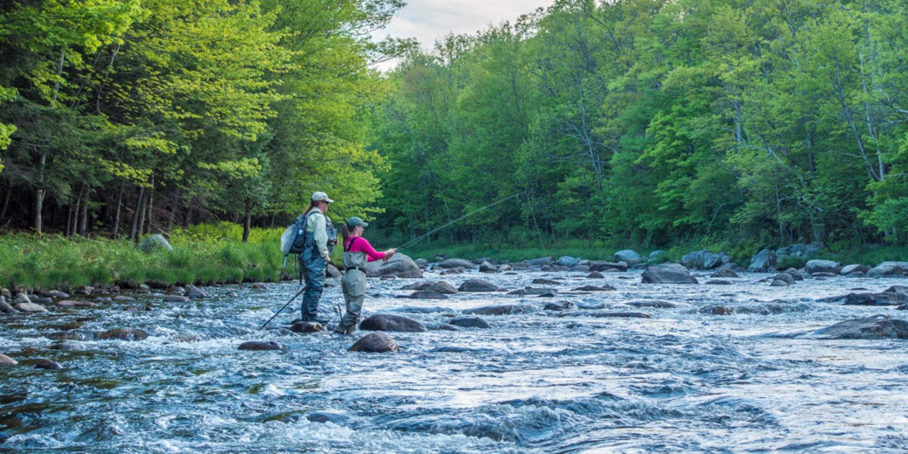 River Steward | Ausable Freshwater Center