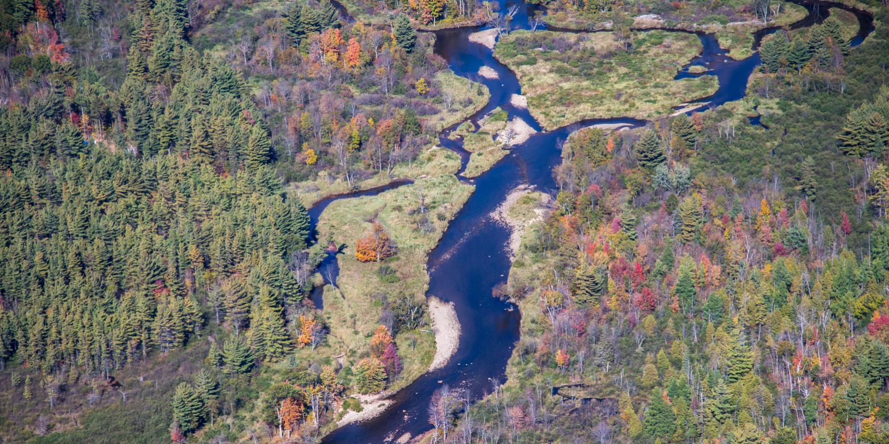 The River Ausable River Association