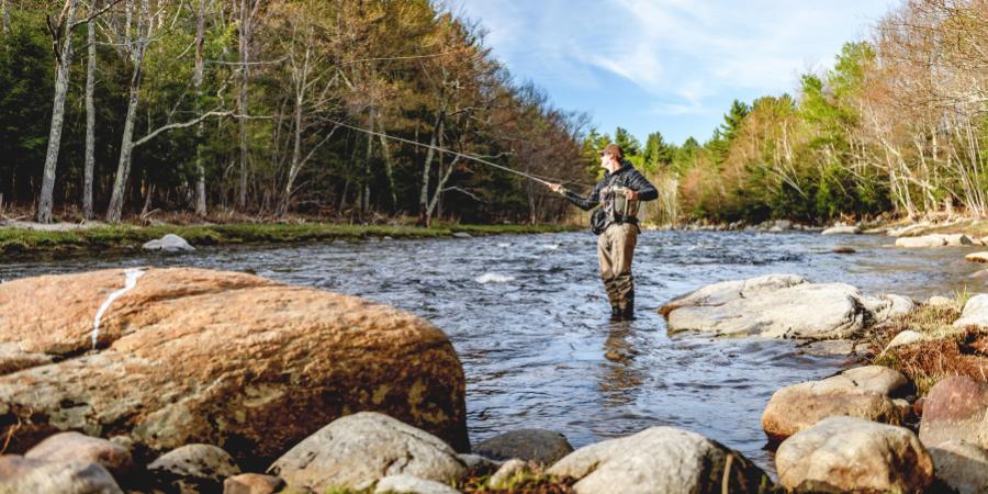 Best Fly Rod for the Ausable River